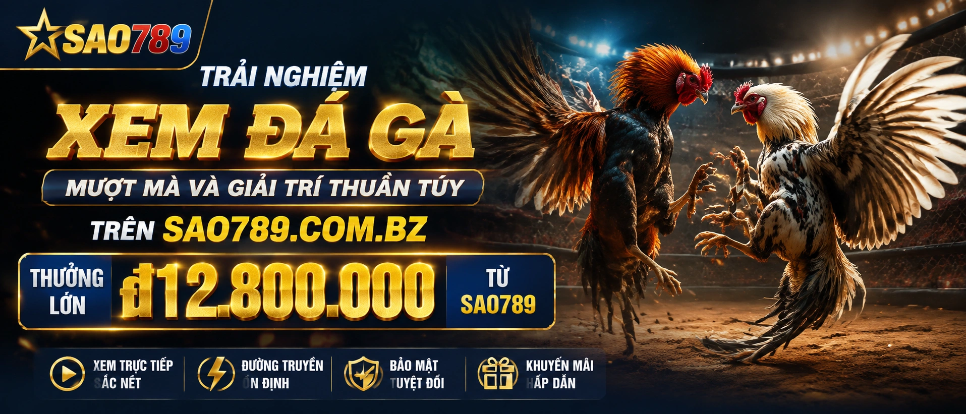 Danh mục Đá Gà Campuchia trên sao789.com.bz