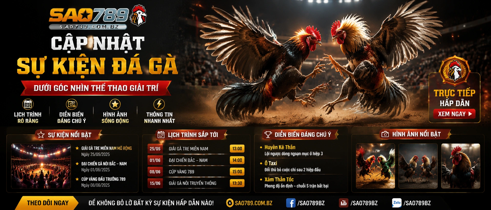 Đá Gà trực tiếp trên nền tảng sao789.com.bz